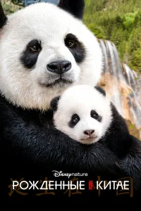 Рождённые в Китае бесплатно